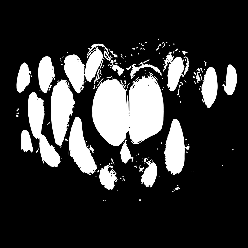 Project artwork for Trap Mursic