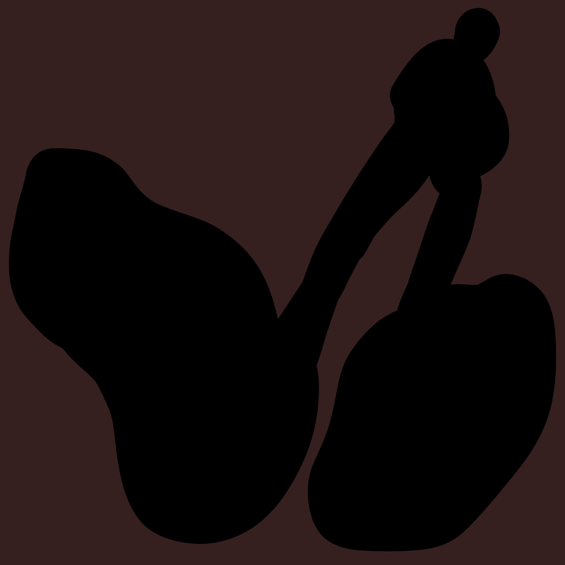 Project artwork for the arrow